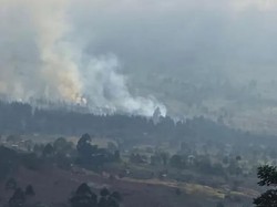 35 Hektare Lahan Terdampak Kebakaran Hutan di Gunung Rinjani