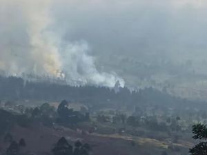35 Hektare Lahan Terdampak Kebakaran Hutan di Gunung Rinjani 35 Hektare Lahan Terdampak Kebakaran Hutan di Gunung Rinjani
