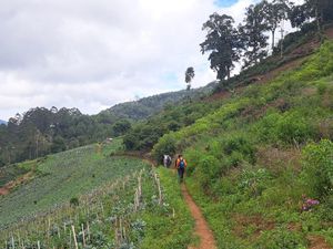 Ayah-Anak yang Hilang di Lembah Tengkorak Bandung Ditemukan! Ayah-Anak yang Hilang di Lembah Tengkorak Bandung Ditemukan!