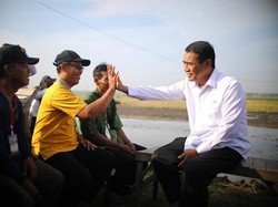 Survei SPIN Sebut Mentan Amran Torehkan Kinerja Terbaik Nomor 2