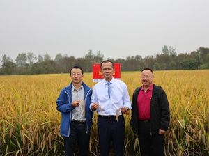 Kementrans Sebut Investor Wuhan Minat Kembangkan Kawasan Transmigran Kementrans Sebut Investor Wuhan Minat Kembangkan Kawasan Transmigran