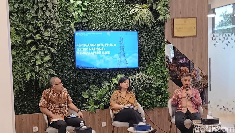 Indonesia Genjot Keanggotaan OECD: Pembentukan Lembaga Ketenagalistrikan Jadi Sorotan