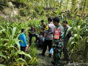 Petani Bojonegoro Ditemukan Tewas Bersimbah Darah di Ladang Jagung Petani Bojonegoro Ditemukan Tewas Bersimbah Darah di Ladang Jagung