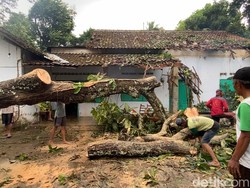 Rumah-Motor Warga Nglegok Blitar Tertimpa Pohon Tumbang