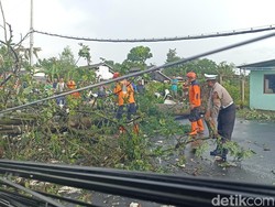 Pohon Tumbang Tutup Jalan Alternatif Jalur Blitar - Malang Pohon Tumbang Tutup Jalan Alternatif Jalur Blitar - Malang