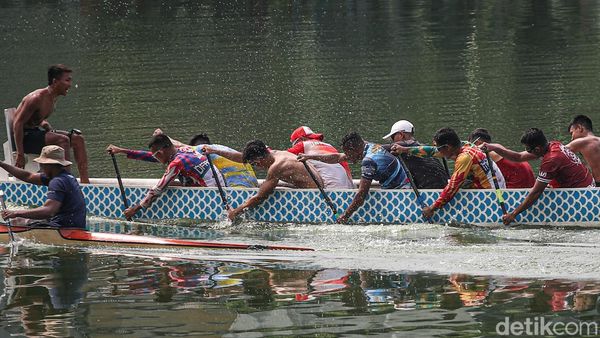 Potret Prajurit TNI AL Asah Kekompakan Lewat Dayung Perahu Naga