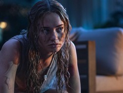 Primate, Horor Simpanse Pembunuh Jadi Perbincangan Internet