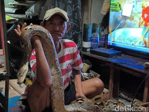 Cerita Kakek Subari Pernah Dimarahi Pemotor gegara Taruh Ular di Trotoar Cerita Kakek Subari Pernah Dimarahi Pemotor gegara Taruh Ular di Trotoar
