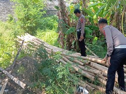 Truk Angkut Bambu yang Kabur Usai Kecelakaan di Klaten Terlacak