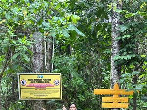 Empat Jalur Pendakian Ilegal di Gunung Tambora Ditutup Empat Jalur Pendakian Ilegal di Gunung Tambora Ditutup