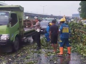 Video: Pohon Tumbang Timpa 2 Mobil di Tol Cikampek Arah Halim