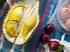 10 Durian Terbaik dengan Tekstur Creamy dan Rasa Unik, Ada dari Indonesia? 10 Durian Terbaik dengan Tekstur Creamy dan Rasa Unik, Ada dari Indonesia?