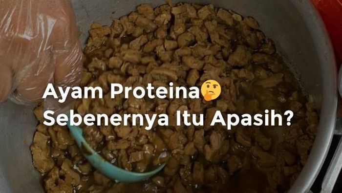 Video: Ayam Proteina Itu Apa Sih?