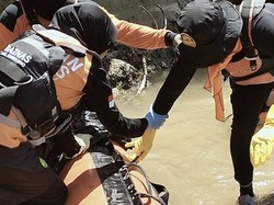 Pria Tenggelam di Sungai Saddang Enrekang Ditemukan Tewas Tersangkut di Kayu Pria Tenggelam di Sungai Saddang Enrekang Ditemukan Tewas Tersangkut di Kayu