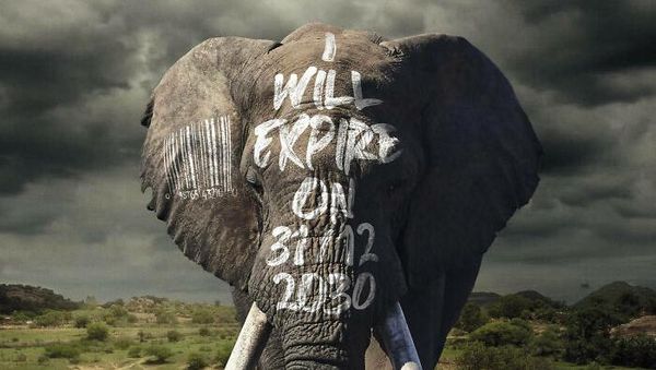 Bermacam Kampanye Iklan Tampilkan Gajah dari yang Lucu Sampai Memilukan Bermacam Kampanye Iklan Tampilkan Gajah dari yang Lucu Sampai Memilukan