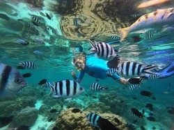Berenang Bareng Ikan Warna-warni di Perairan Pulau Kanawa Labuan Bajo