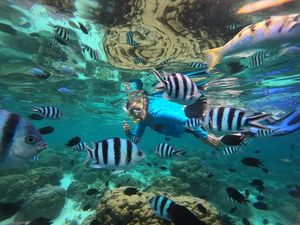 Berenang Bareng Ikan Warna-warni di Perairan Pulau Kanawa Labuan Bajo Berenang Bareng Ikan Warna-warni di Perairan Pulau Kanawa Labuan Bajo