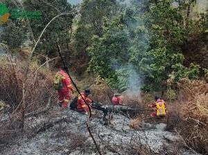 Kebakaran 10 Hektare Hutan TNGR Berhasil Dipadamkan Setelah 2 Hari Kebakaran 10 Hektare Hutan TNGR Berhasil Dipadamkan Setelah 2 Hari