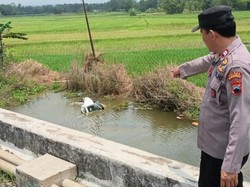 Korban Tewas Mobil MBG Tertabrak KA di Purworejo Bertambah Jadi 2 Orang Korban Tewas Mobil MBG Tertabrak KA di Purworejo Bertambah Jadi 2 Orang