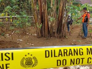 Mayat Bayi Terbungkus Handuk Ditemukan di Kebun Pisang Warga Kudus Mayat Bayi Terbungkus Handuk Ditemukan di Kebun Pisang Warga Kudus