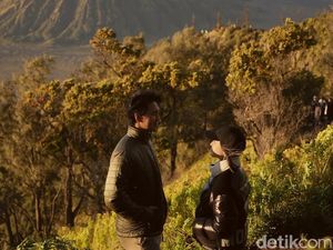 Liburan Nikita Willy Sekeluarga di Bromo: Nikmati Sunrise-Naik Kuda Liburan Nikita Willy Sekeluarga di Bromo: Nikmati Sunrise-Naik Kuda