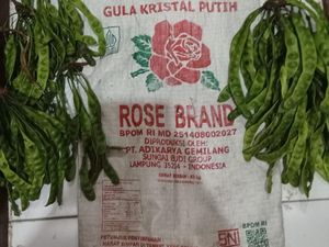 Detik-detik Pemilik Kebun di Muba Tembak Pencuri Petai dengan Senapan Angin Detik-detik Pemilik Kebun di Muba Tembak Pencuri Petai dengan Senapan Angin