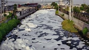 Busa Putih Tebal Selimuti Sungai di Surabaya, Diduga Akibat Limbah