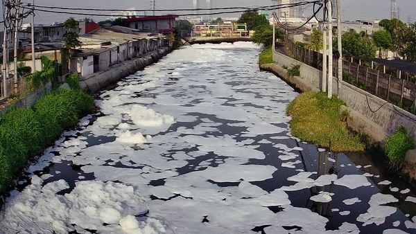 Busa Putih Tebal Selimuti Sungai di Surabaya, Diduga Akibat Limbah
