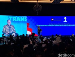 Rosan Bongkar Borok BUMN: Poles Laporan Keuangan-Setor Dividen dari Utang