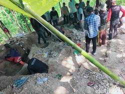 Ini Perkiraan Usia Fosil Gajah Purba yang Ditemukan di Nganjuk Ini Perkiraan Usia Fosil Gajah Purba yang Ditemukan di Nganjuk