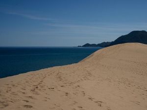 Krisis Iklim: Warga Jepang Cemas, Musim Panas Kian Ekstrem Krisis Iklim: Warga Jepang Cemas, Musim Panas Kian Ekstrem
