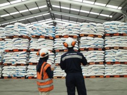 Pupuk Indonesia Mau Revitalisasi Pabrik buat Genjot Produksi