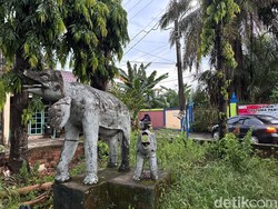 Jejak Gajah yang Lama Hilang dari Palembang Kini Tinggal Nama Lebong Gajah Jejak Gajah yang Lama Hilang dari Palembang Kini Tinggal Nama Lebong Gajah