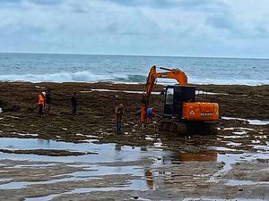 Duh! Viral Terumbu Karang di Pantai Sukabumi Dihantam Alat Berat, Warga Geram Duh! Viral Terumbu Karang di Pantai Sukabumi Dihantam Alat Berat, Warga Geram