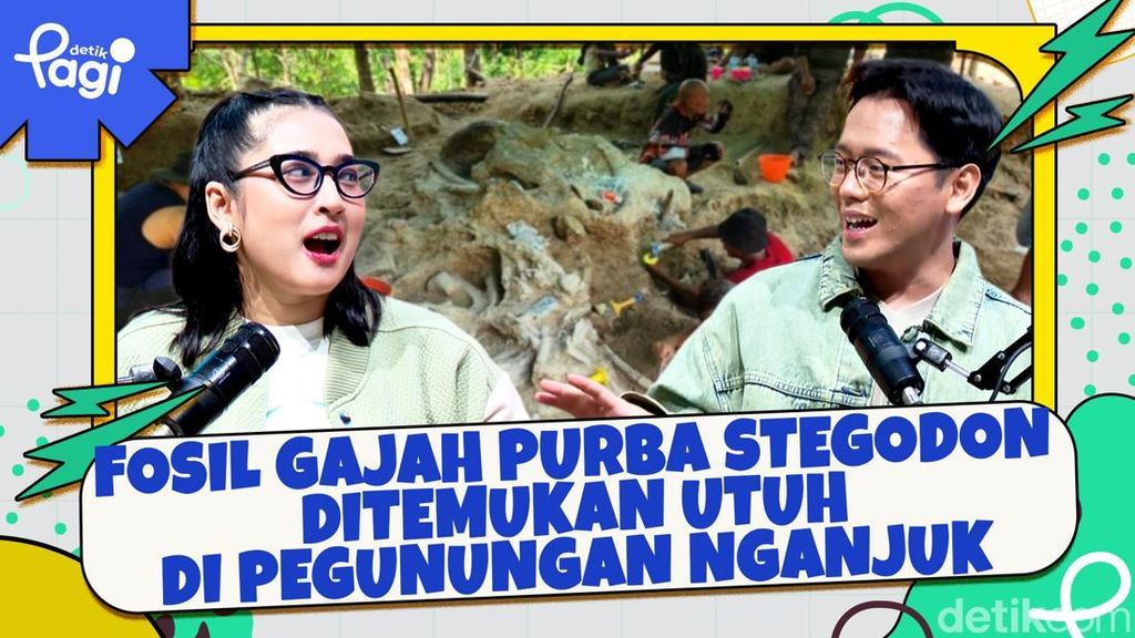 Video: Fosil Gajah Purba Stegodon Ditemukan Utuh di Pegunungan Nganjuk Video: Fosil Gajah Purba Stegodon Ditemukan Utuh di Pegunungan Nganjuk