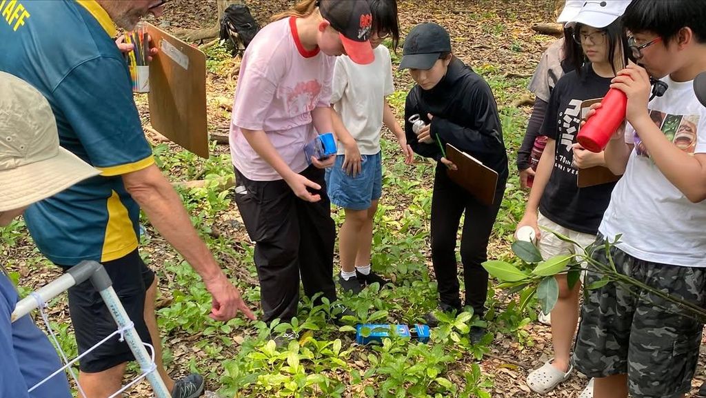 Momen Komunitas Mangrove Jakarta menanam mangrove di Angke Kapuk. Foto: Instagram @mangrovejakarta.id Momen Komunitas Mangrove Jakarta menanam mangrove di Angke Kapuk. Foto: Instagram @mangrovejakarta.id