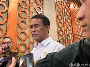 Pemerintah Mau Bikin Sawah Baru 625 Ribu Ha, Butuh Anggaran Rp 10 T Pemerintah Mau Bikin Sawah Baru 625 Ribu Ha, Butuh Anggaran Rp 10 T