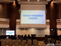 Kini Lulusan Magang Hub Kemnaker Dapat Sertifikat Gratis, Ini Keuntungannya