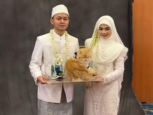 Viral Pengantin Ini Jadikan Kucing Sebagai Seserahan Nikah, Netizen Gemas Viral Pengantin Ini Jadikan Kucing Sebagai Seserahan Nikah, Netizen Gemas
