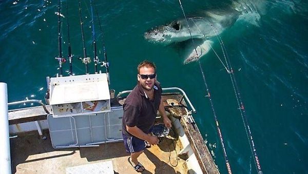 Deretan Photobomb Lucu yang Bikin Ngakak Guling-guling!
