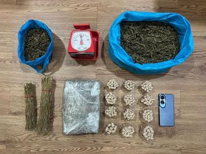 Simpan 2,6 Kg Ganja Siap Edar, Pria 55 Tahun di Batam Ditangkap Simpan 2,6 Kg Ganja Siap Edar, Pria 55 Tahun di Batam Ditangkap