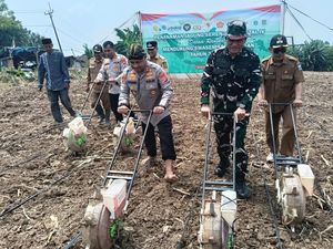 Dukung Ketahanan Pangan, Polres Serang Tanam 471 Hektare Jagung Dukung Ketahanan Pangan, Polres Serang Tanam 471 Hektare Jagung