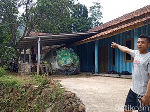 Cerita Warga soal Temuan Macan Kumbang di Hutan Ganeas Sumedang Cerita Warga soal Temuan Macan Kumbang di Hutan Ganeas Sumedang
