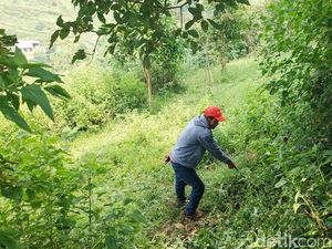 Pilu ABG Ditemukan Nyaris Bugil-Tak Sadarkan Diri di Semak Belukar KBB Pilu ABG Ditemukan Nyaris Bugil-Tak Sadarkan Diri di Semak Belukar KBB