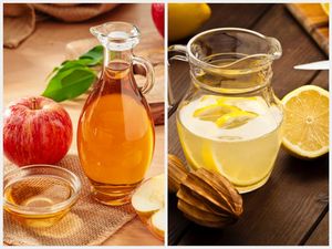 Cuka Apel atau Air Lemon: Mana yang Lebih Efektif Turunkan Berat Badan? Cuka Apel atau Air Lemon: Mana yang Lebih Efektif Turunkan Berat Badan?