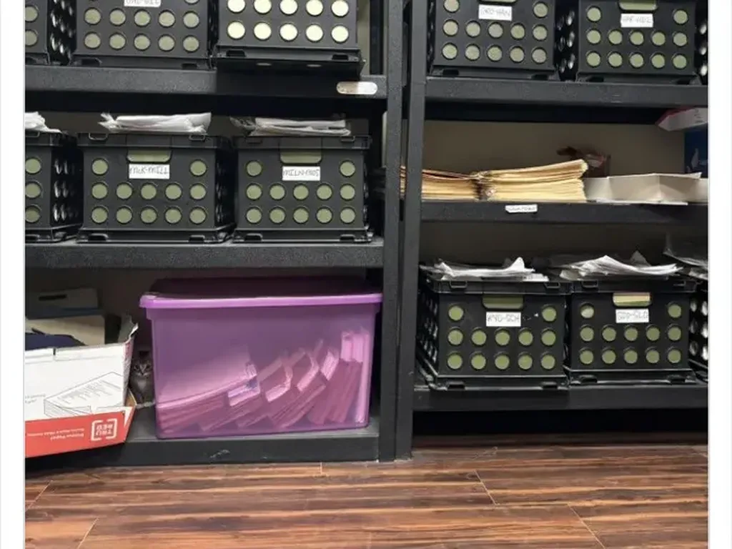 Dapatkah Kamu Menemukan Kumpulan Kucing Jadi Ninja Berikut Ini? Dapatkah Kamu Menemukan Kumpulan Kucing Jadi Ninja Berikut Ini?