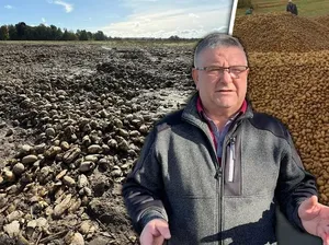 Gegara Hoaks Viral di Medsos, Petani Ini Kehilangan 150 Ton Kentang Gegara Hoaks Viral di Medsos, Petani Ini Kehilangan 150 Ton Kentang