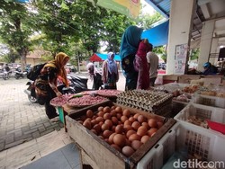Telur Ayam di Kulon Progo Tembus Rp 30 Ribu/Kg, Pedagang: Efek MBG-Hajatan Telur Ayam di Kulon Progo Tembus Rp 30 Ribu/Kg, Pedagang: Efek MBG-Hajatan