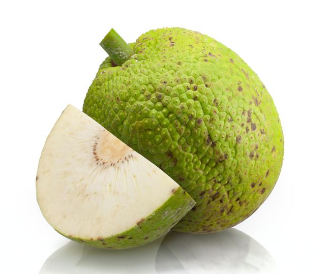 Sukun