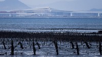 Bandara Baru Xiamen Terlihat dari Pulau Kinmen Bandara Baru Xiamen Terlihat dari Pulau Kinmen